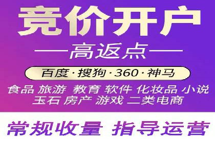 百度推广在电商行业的应用案例